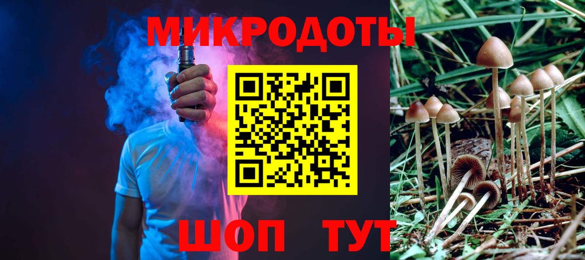 Вышний Волочёк  что такое   Вход с VPN  Псилоцибиновые грибы ЛСД  Псилоцибиновые грибы Psilocybine cubensis 